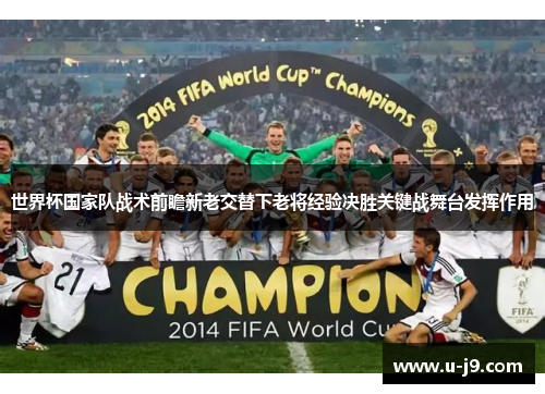 世界杯国家队战术前瞻新老交替下老将经验决胜关键战舞台发挥作用